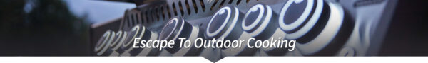 Inner Banner 1